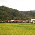 3D2N Bario Highlands