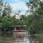 Tambunan Rafflesia Centre + Mangrove Cruise & Fireflies