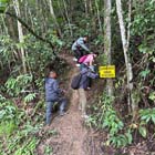 Tambunan Rafflesia Centre + Mangrove Cruise & Fireflies