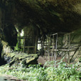 Niah National Park  - Niah Cave + Tusan Beach Tours