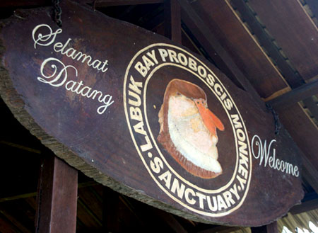 3D2N Kinabatangan River